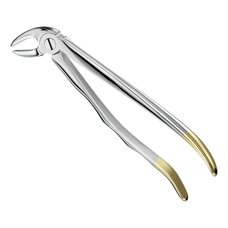 Extracting forceps, anat.