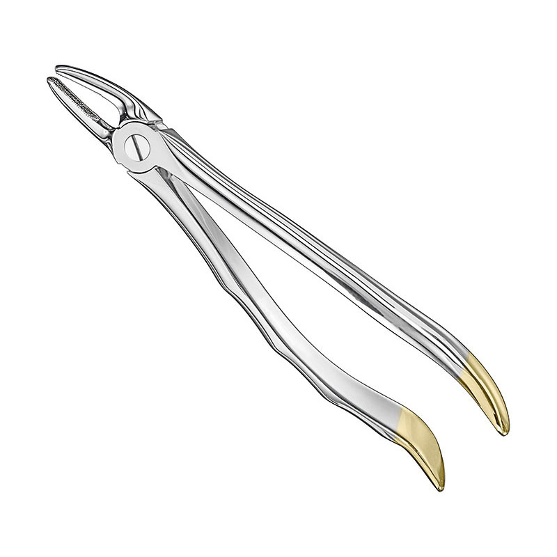 Extracting forceps, anat.