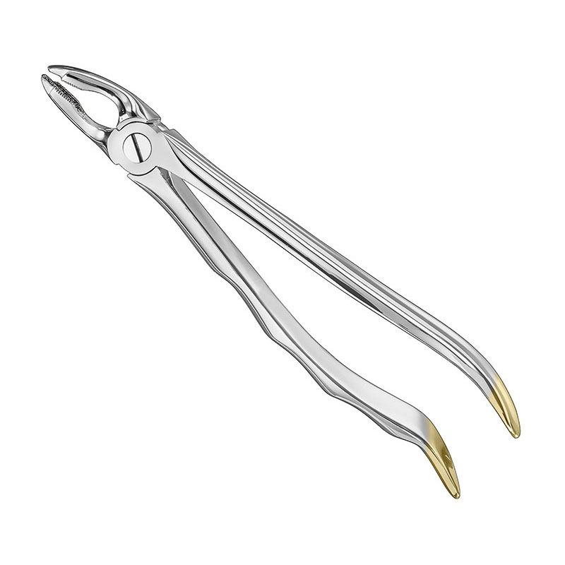 Extracting forceps, anat.