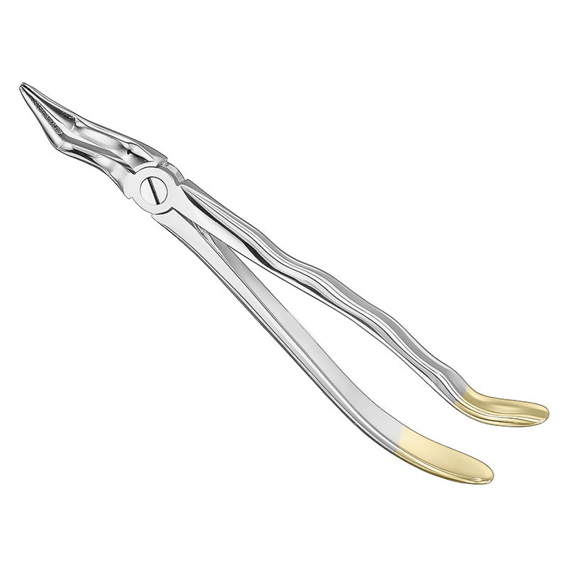 Extracting forceps, anat.