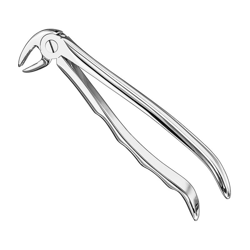 Extracting forceps, anat.