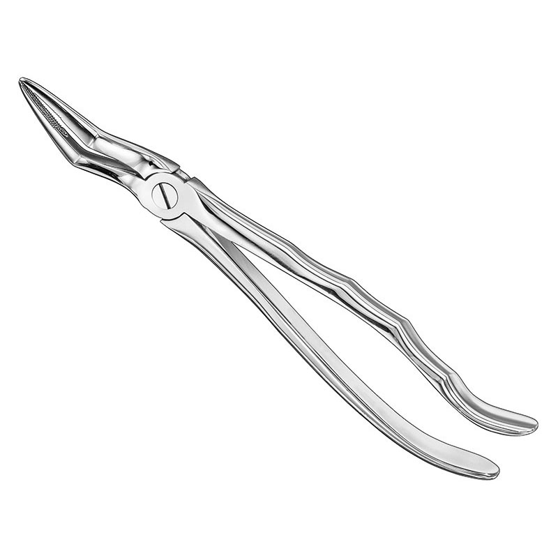 Extracting forceps, anat.