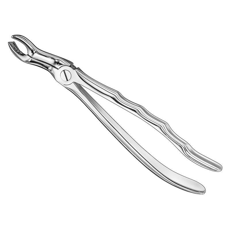 Extracting forceps, anat.