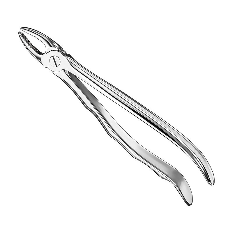 Extracting forceps, anat.