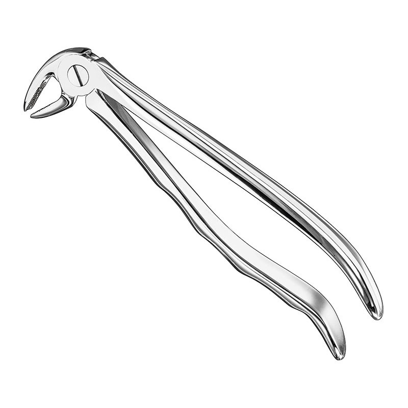 Extracting forceps, anat.