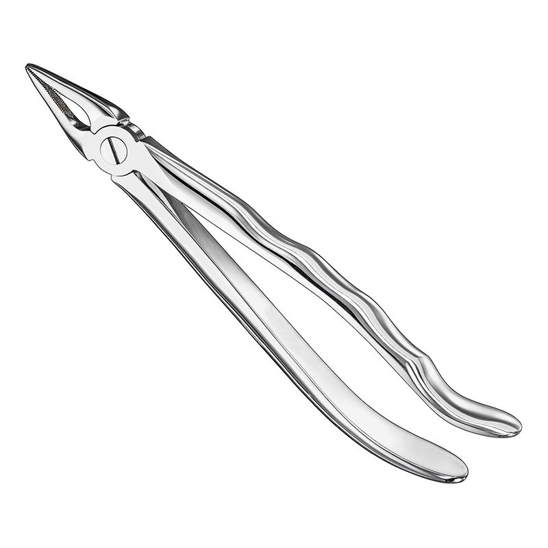 Extracting forceps, anat.
