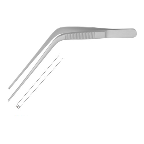 Troeltsch (Wilde) Ear Forcep